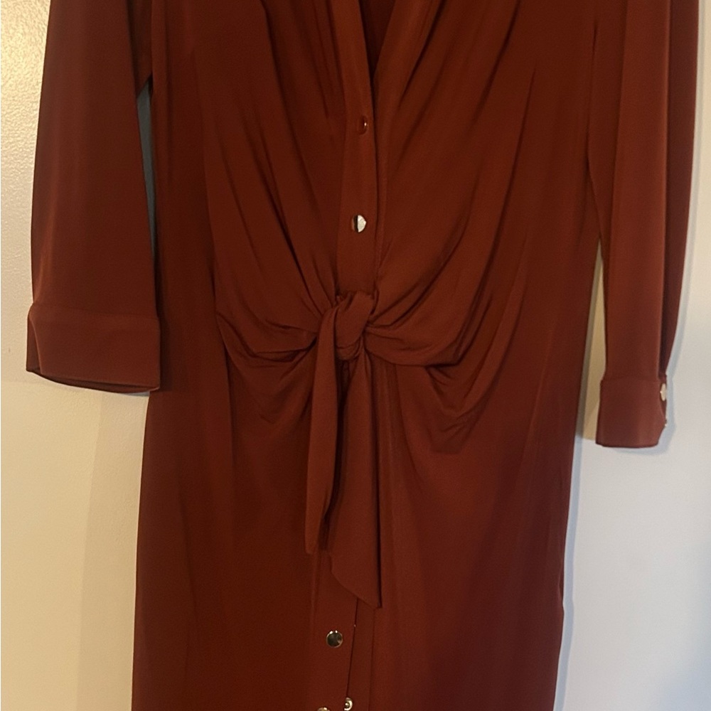 Philosophy Rust Long Sleeve Dress
